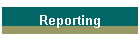 Reporting