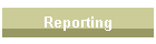 Reporting